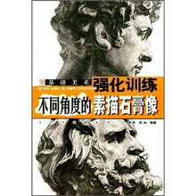 基础美术强化训练：不同角度的素描石膏像