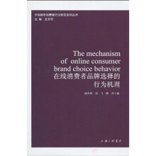 在线消费者品牌选择的行为机理