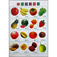 幼儿认知挂图一·双语动物世界2