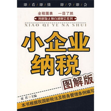 小企业纳税(图解版)