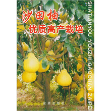 沙田柚优质高产栽培