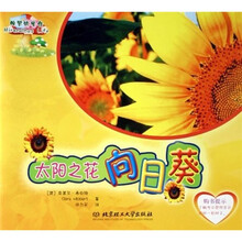 太阳之花向日葵