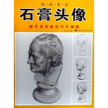 初学美术技法写生训练：石膏头像