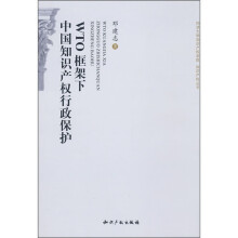 WTO框架下中国知识产权行政保护
