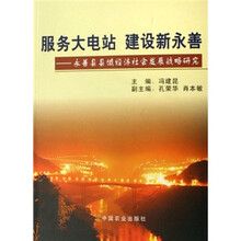 服务大电站建设新永善：永善县县域经济社会发展战略研究