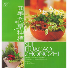 四季花草种植