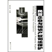 民营企业与知识产权司法保护