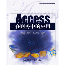 Access在财务中的应用