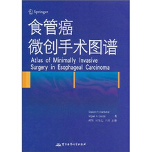 食管癌微创手术图谱（附光盘）