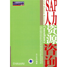 SAP人力资源咨询