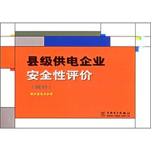 县级供电企业安全性评价(试行)