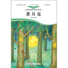 中国当代获奖儿童文学作家书系：黄月亮