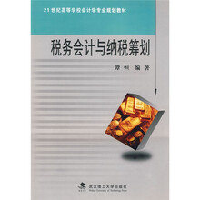 税务会计与纳税筹划