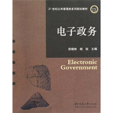 21世纪公共管理类系列规划教材：电子政务