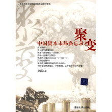 聚变：中国资本市场备忘录