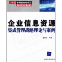 企业信息资源集成管理战略理论与案例