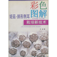 彩色图解姬菇、肺形侧耳栽培新技术