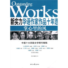 新实力华语作家作品十年选:掌心里的风