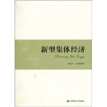 新型集体经济