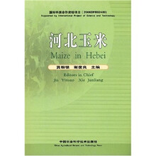 河北玉米