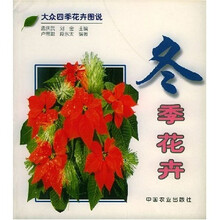 冬季花卉