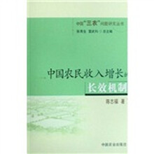 中国农民收入增长的长效机制