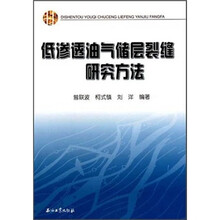 低渗透油气储层裂缝研究方法