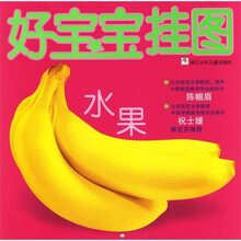 好宝宝挂图：水果