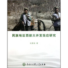 民族地区西部大开发效应研究