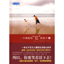 一个被称作“它”的孩子2