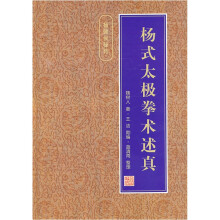 杨式太极拳术述真
