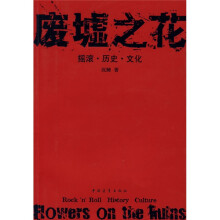 废墟之花：摇滚·历史·文化