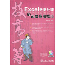 技高一筹：Excel数据处理与函数应用技巧（附CD光盘1张）