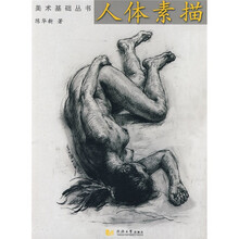 美术基础丛书：人体素描