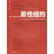 柔性纽约：清华大学建筑学院第10届威尼斯建筑双年展参展实录