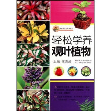轻松学养观叶植物