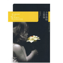 少年维特之烦恼