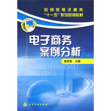 应用型电子商务“十一五”系列规划教材：电子商务案例分析