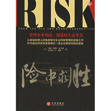 险中求胜:管理企业风险,创造