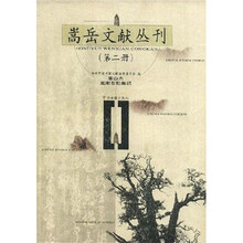 嵩山志:嵩阳右刻集记