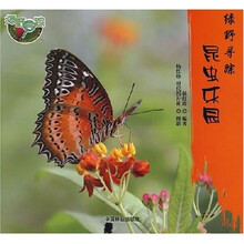 绿野寻踪：昆虫乐园