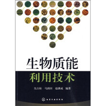 生物质能利用技术