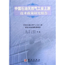 中国石油天然气工业上游技术政策研究报告