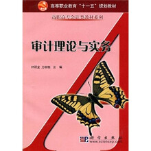 高等职业教育“十一五”规划教材·高职高专会计类教材系列：审计理论与实务