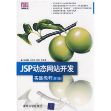 清华电脑学堂:JSP动态网站开发实践教程(第2版)