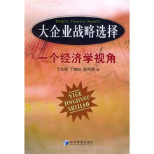 大企业战略选择：一个经济学视角