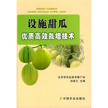 设施甜瓜优质高效栽培技术