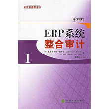 ERP系统整合审计