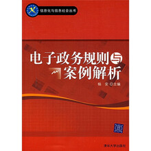 电子政务规则与案例解析