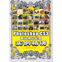 Photoshop CS3数码照片处理实例精讲（附VCD光盘1张）